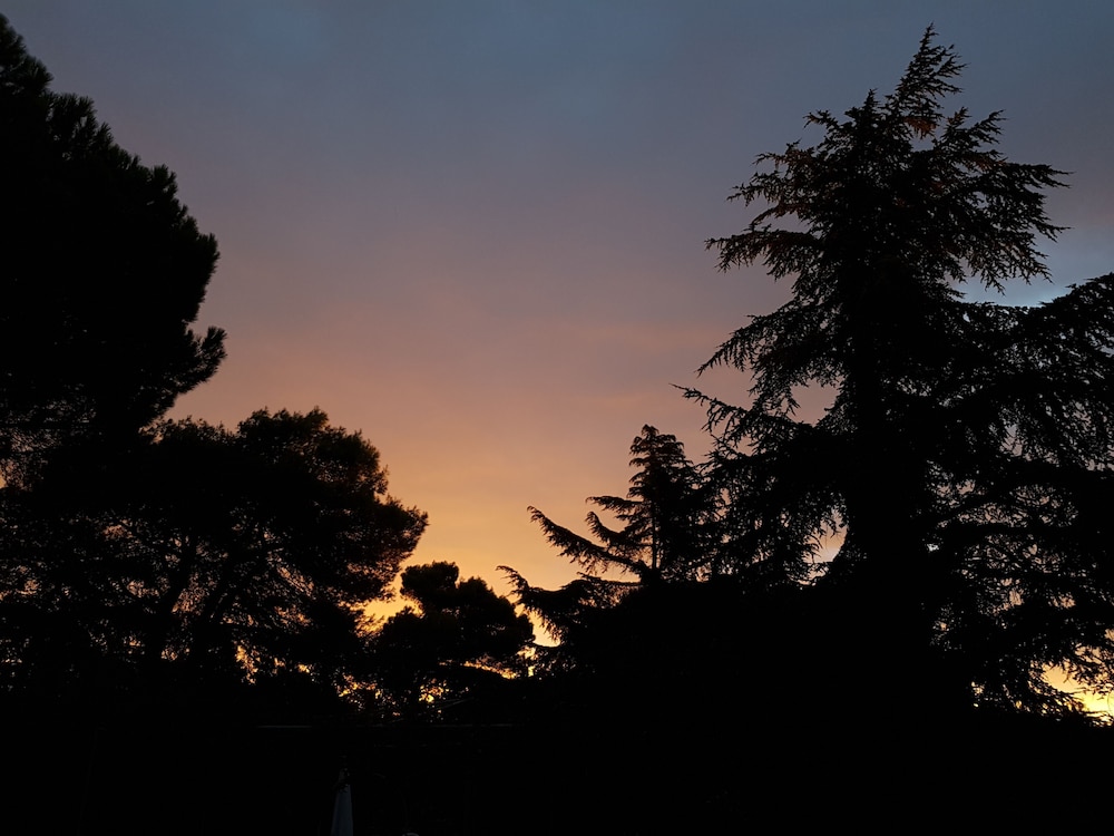 Parco Della Vigna 19/34