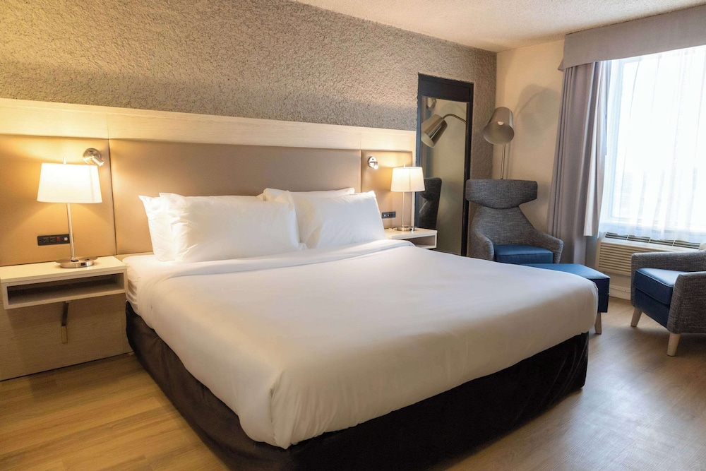 Room, King Bed