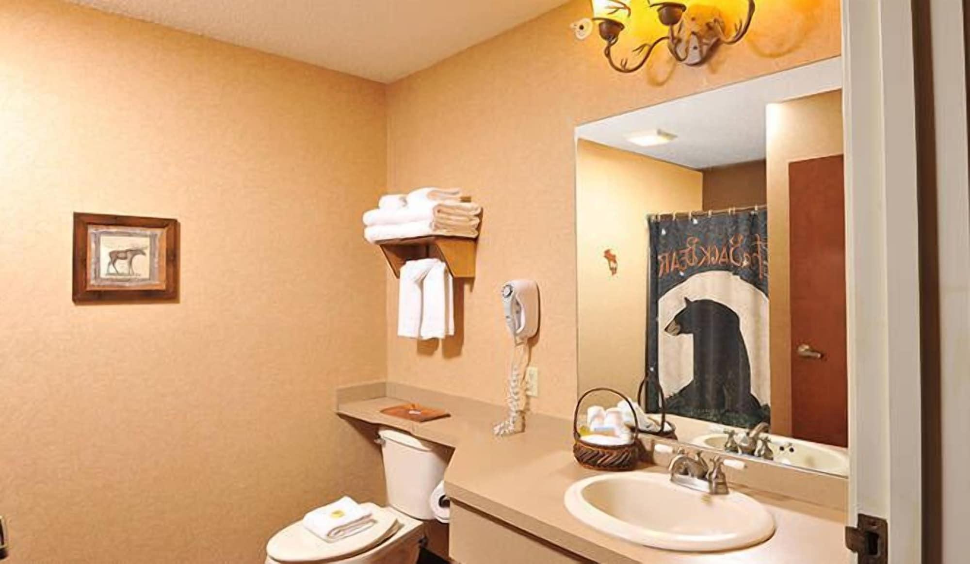 Boarders Inn & Suites by Cobblestone Hotels in Waukon 25/25