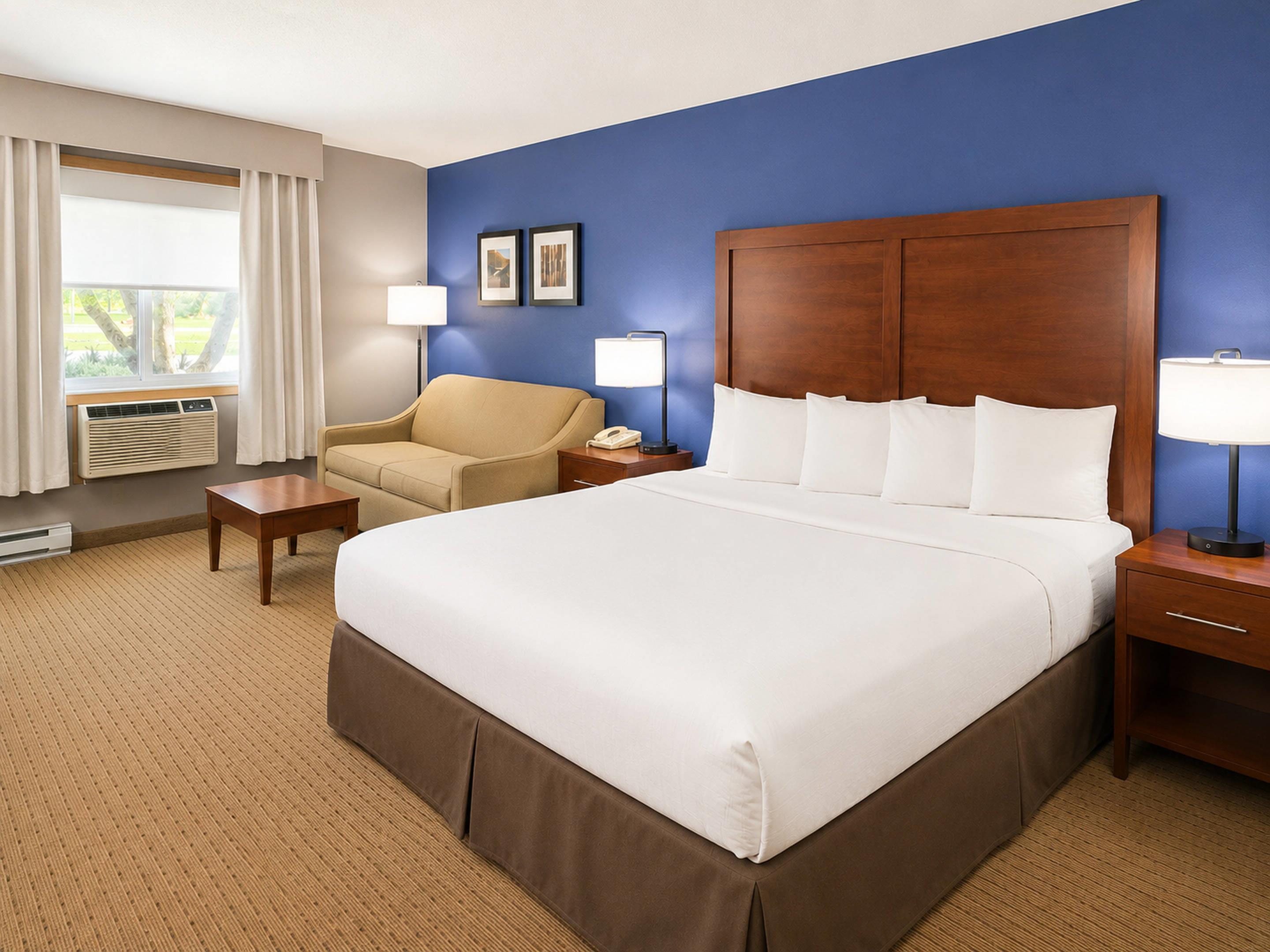 Room, King Bed