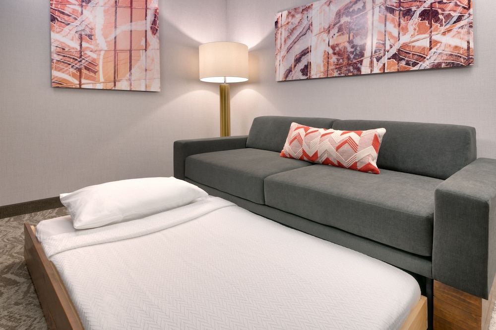 Springhill Suites By Marriott Grand Island 10/46