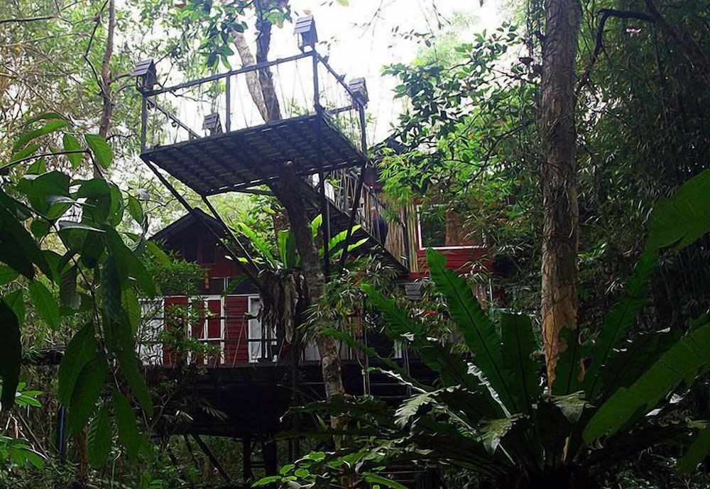 Khao Sok Tree House 39/50