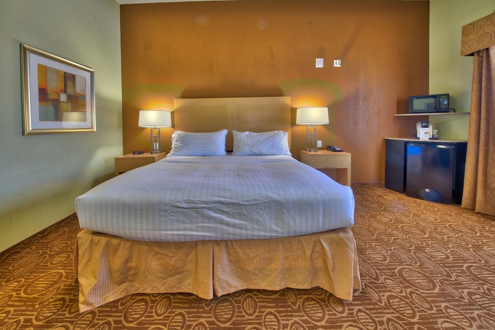 Holiday Inn Express & Suites Lubbock Southwest - Wolfforth 21/50