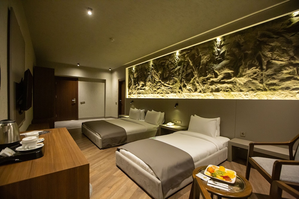 The Erzurum Hotel 20/50
