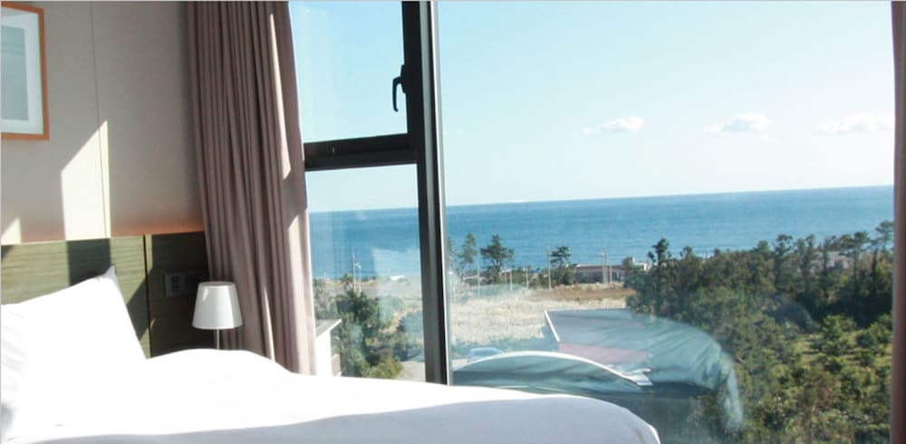 Grandmer Hotel Jeju 64/67