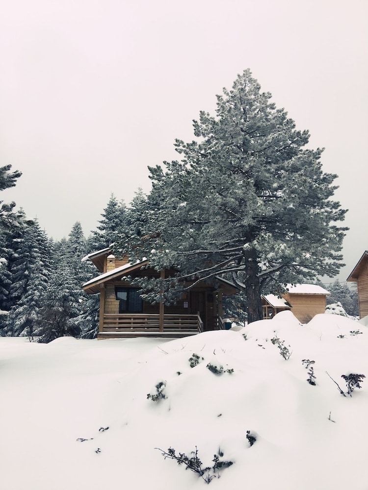 Uludag Orman Koskleri 43/50