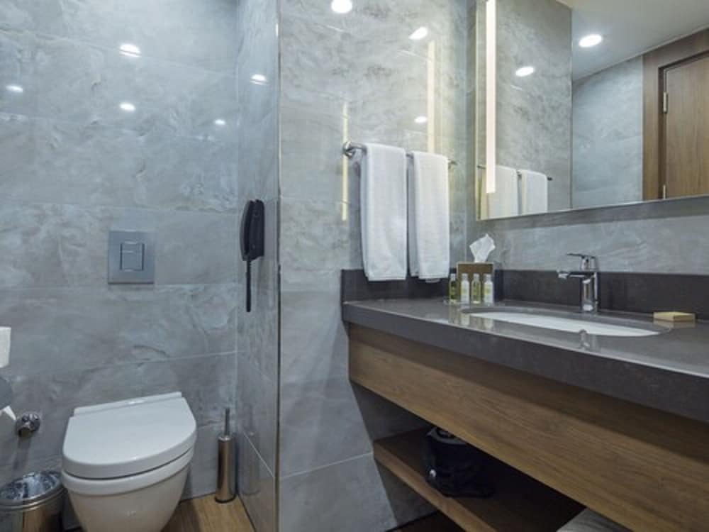 Hilton Garden Inn Yalova 9/39