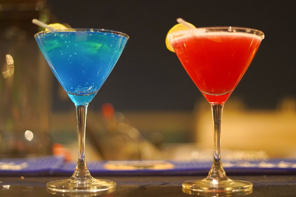 Pride酒店Udaipur(Pride Hotel Udaipur) 图片2