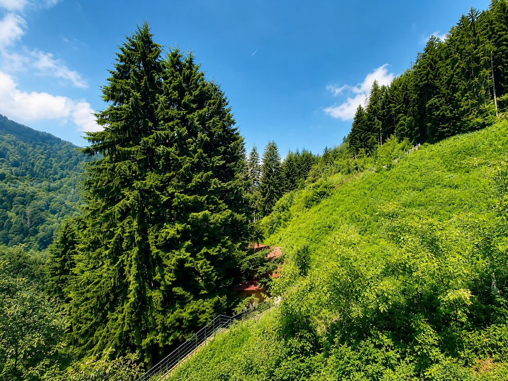 AYDER DOGA RESORT 81/84