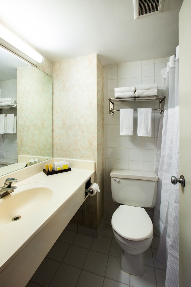 Chestnut Residence - Campus Accommodation 37/38
