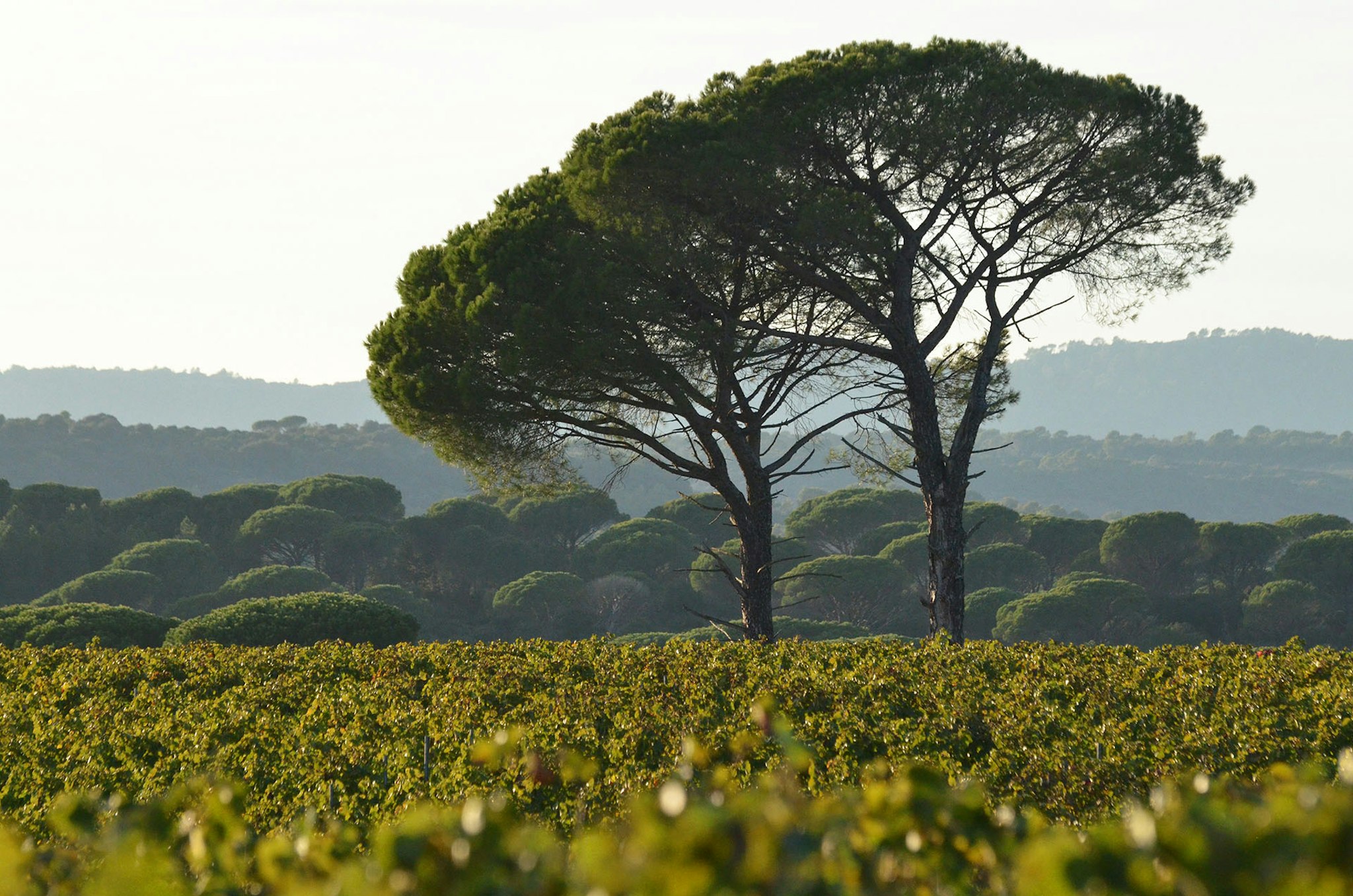 Ultimate Provence Hotel & Spa 10/20