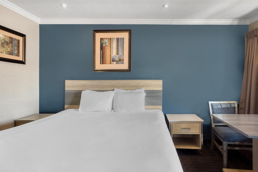 Standard, King Bed, SureStay Hotel by Best Western San Rafael 3/8
