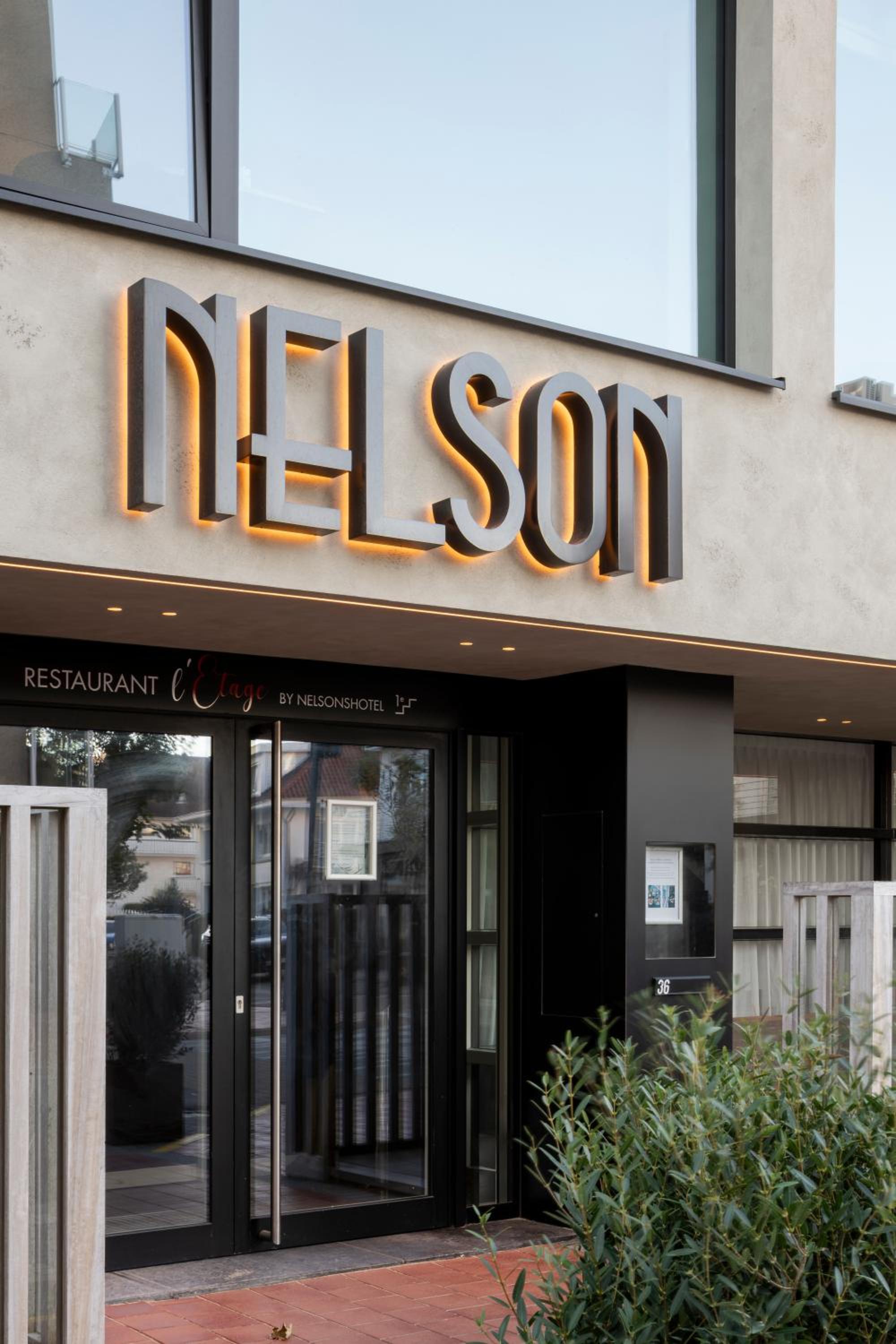 Hotel Nelson 3/50