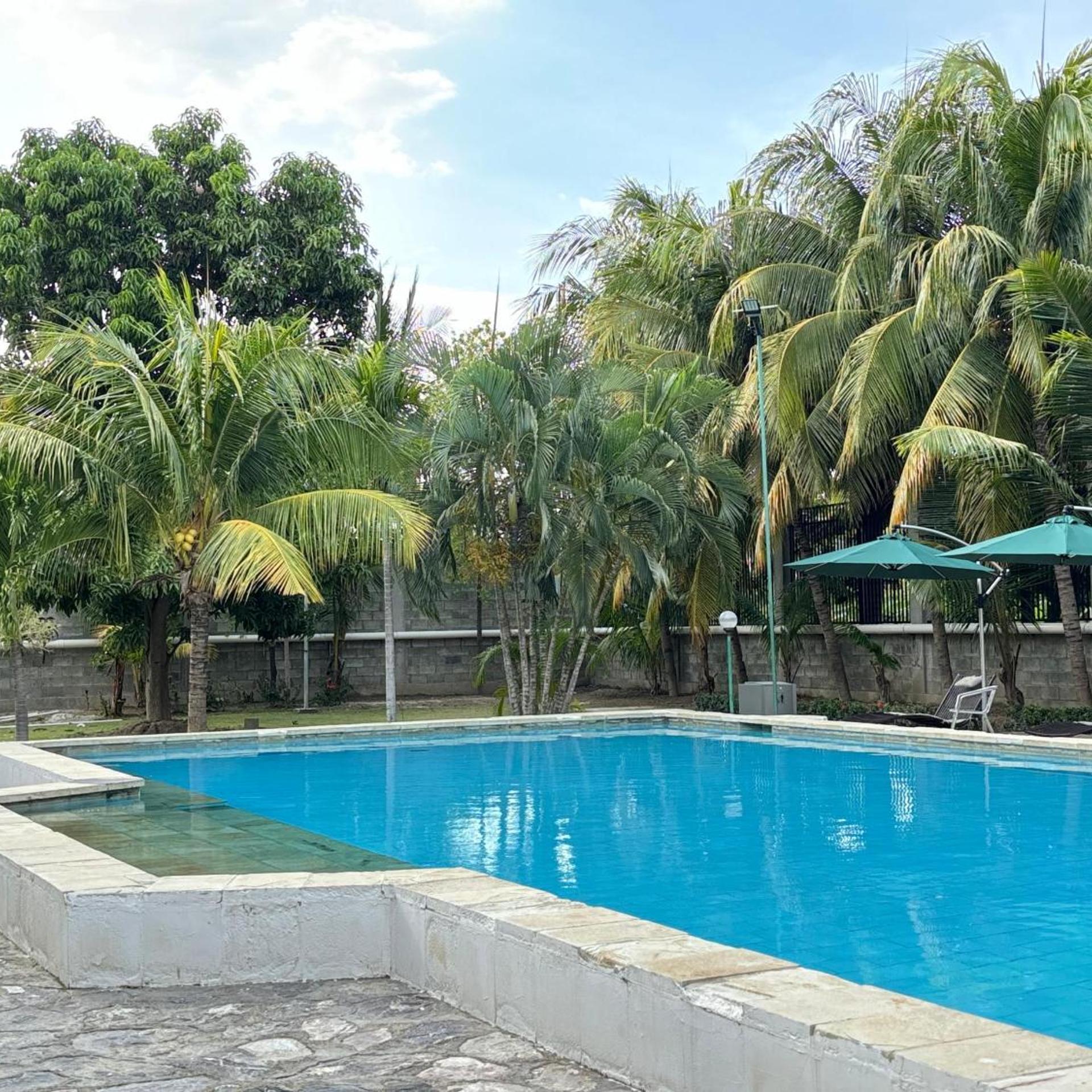 Palm Malinamoc Hotel 44/49