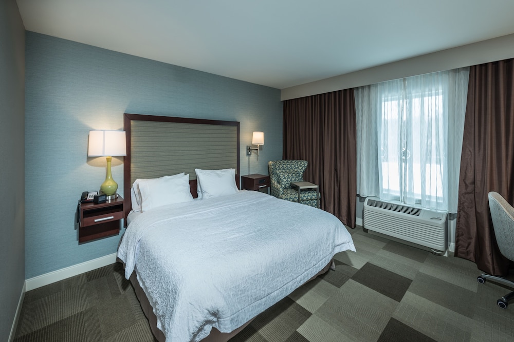 Studio, King Bed, Sofa, Accessible