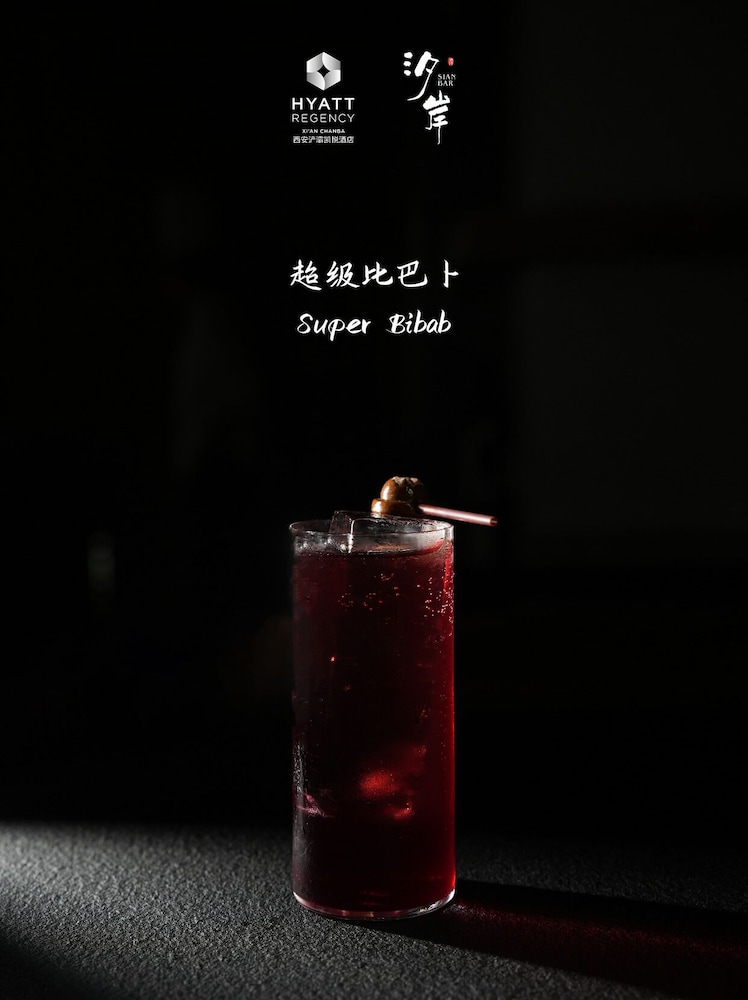 Hyatt Regency Xi'An Chanba 19/50
