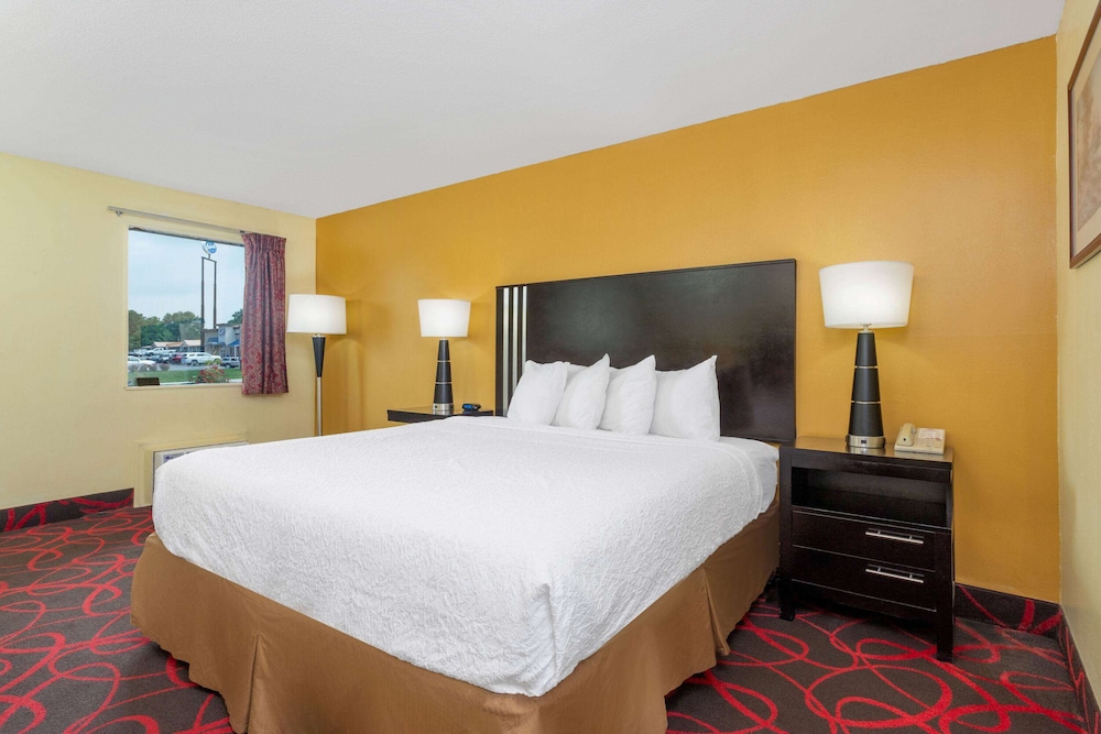 Room, King Bed