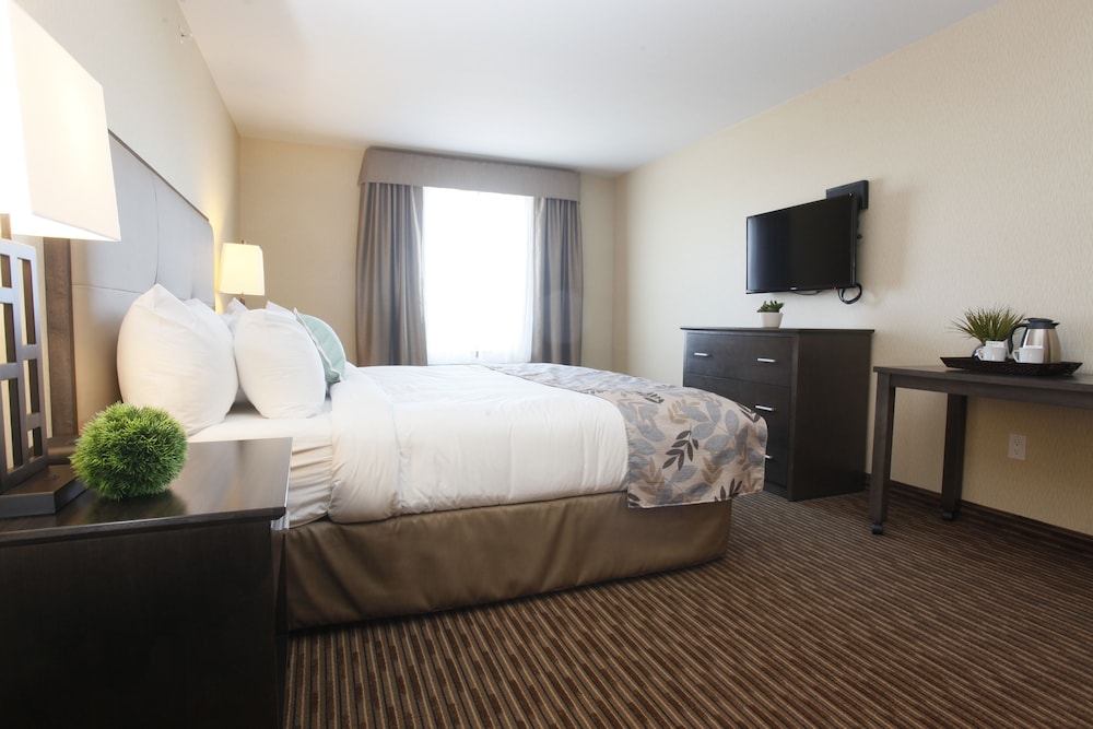 Pomeroy Inn Suites At Olds 29/59
