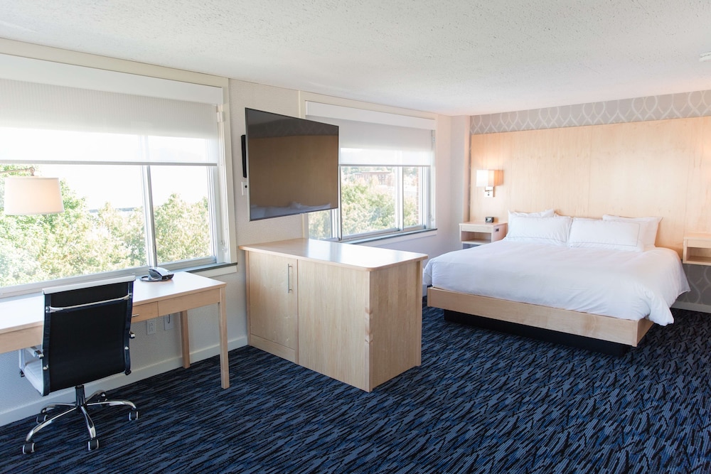 Luxury, Studio, Suite, King Bed, Sofa