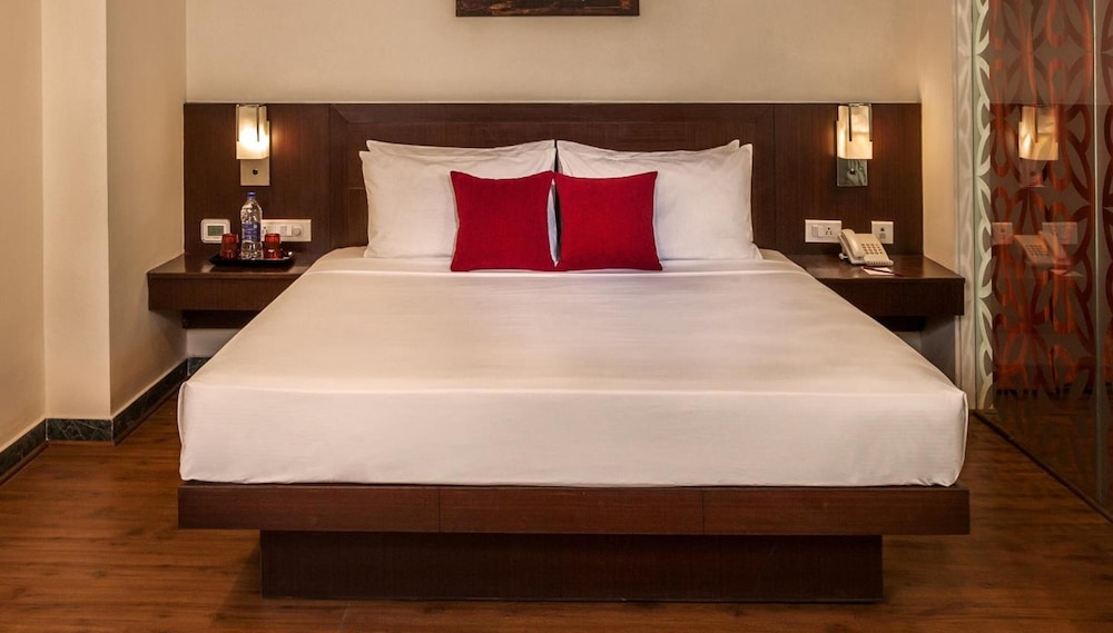 Red Fox Hotel, Alwar 14/50
