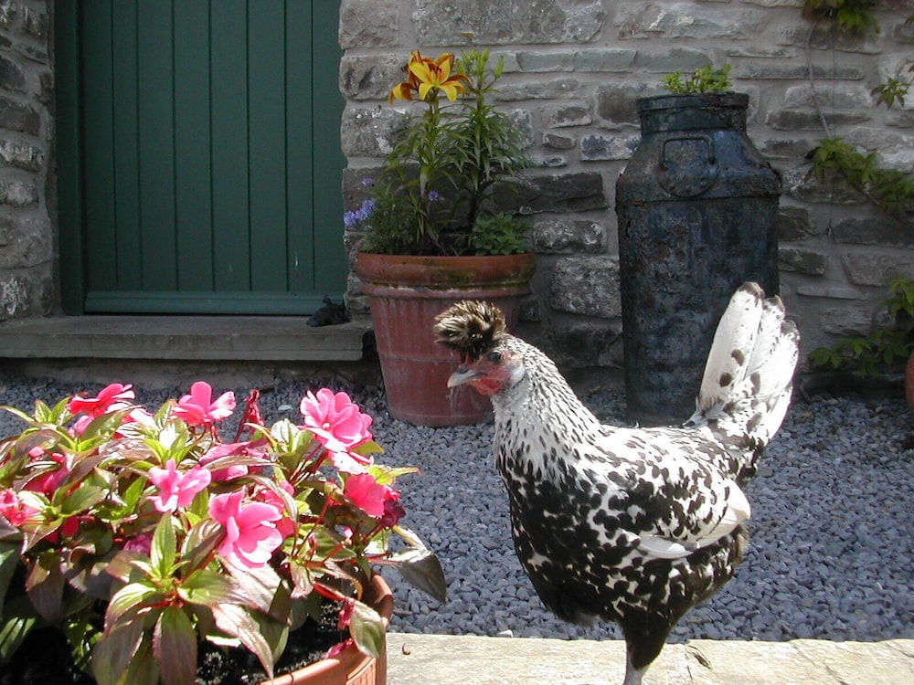 Alltybrain Farm Cottages 6/50