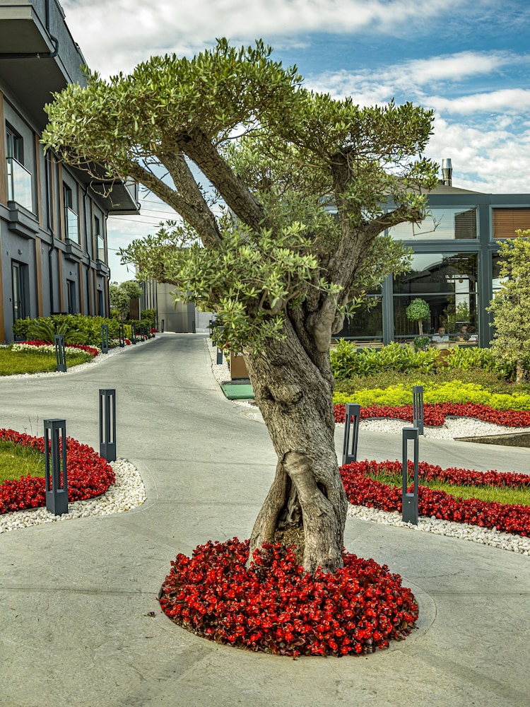 MENALO HOTEL PREMIUM ISTANBUL AIRPORT 54/68