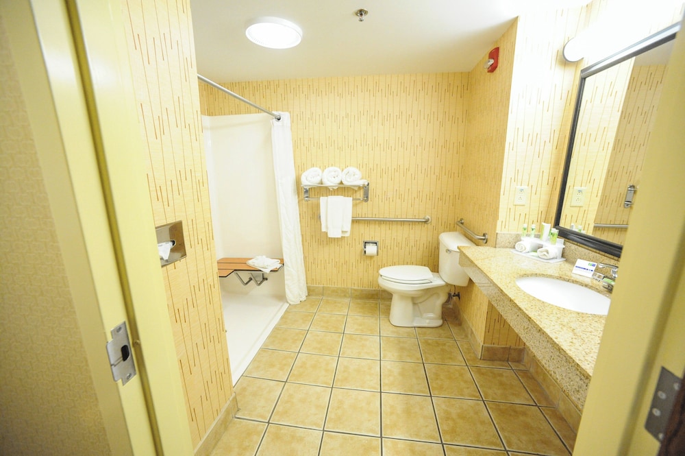 Holiday Inn Express Hotel Suites Bowling Green 58/62