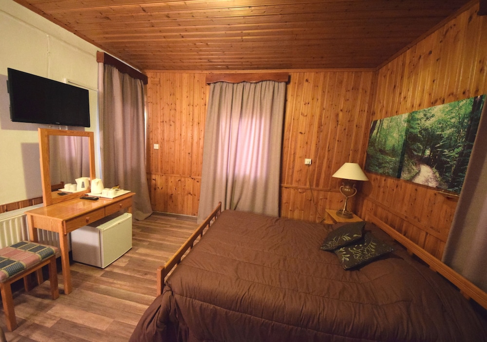 Christys Palace Hotel 21/50