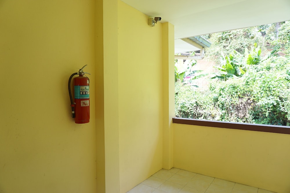Palmy Home 16/21