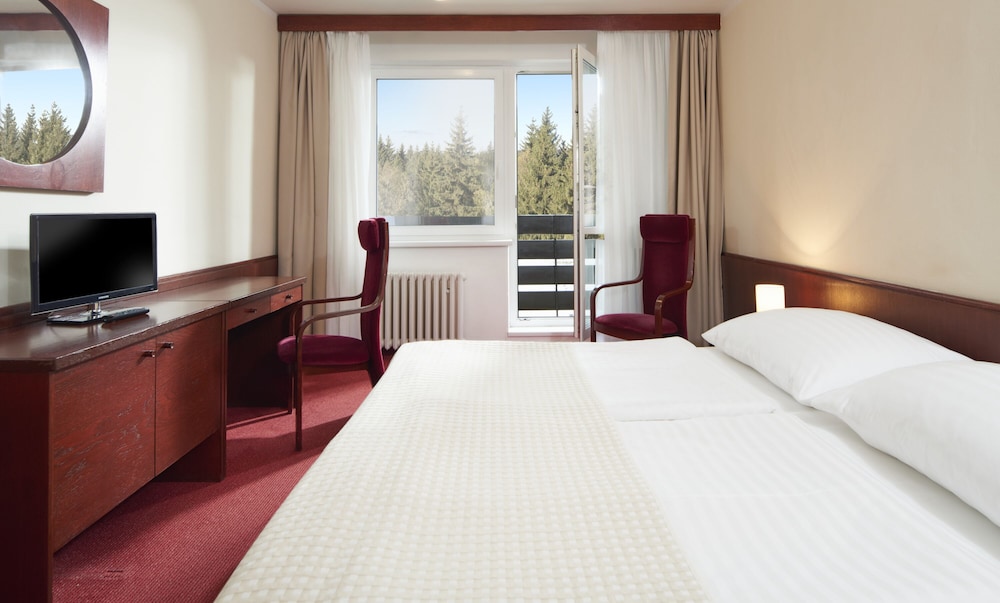 Wellness Hotel Svornost 16/69