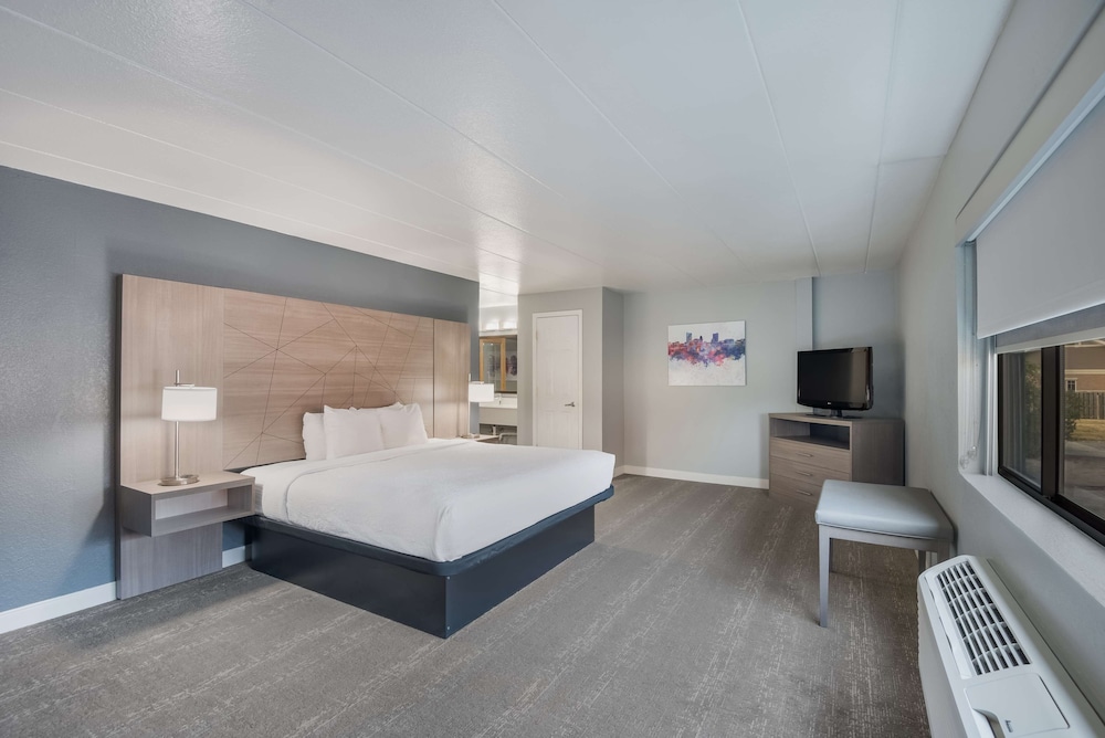 SUITE, KING BED, SOFA, LARGE