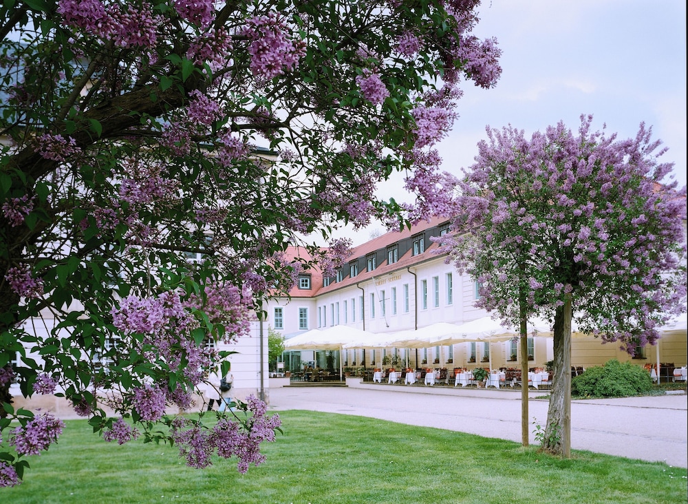 Schloss Pillnitz 46/50