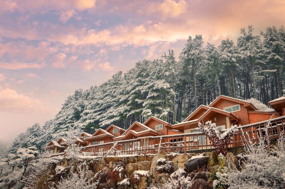 Gapyeong Alum Malu Pension 42/49