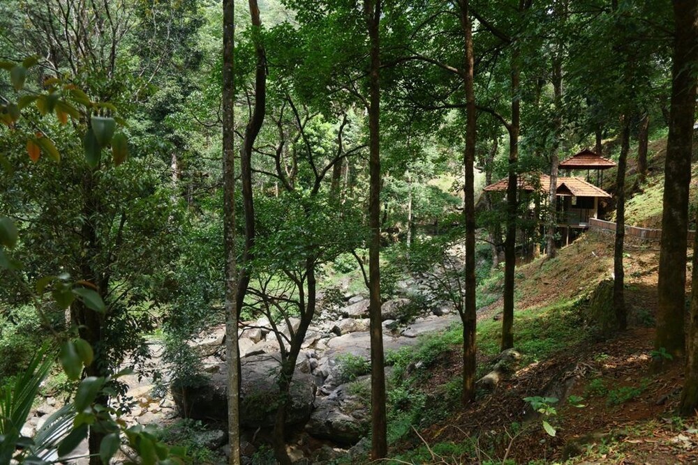 BLUE GINGER WAYANAD RESORTS 34/50