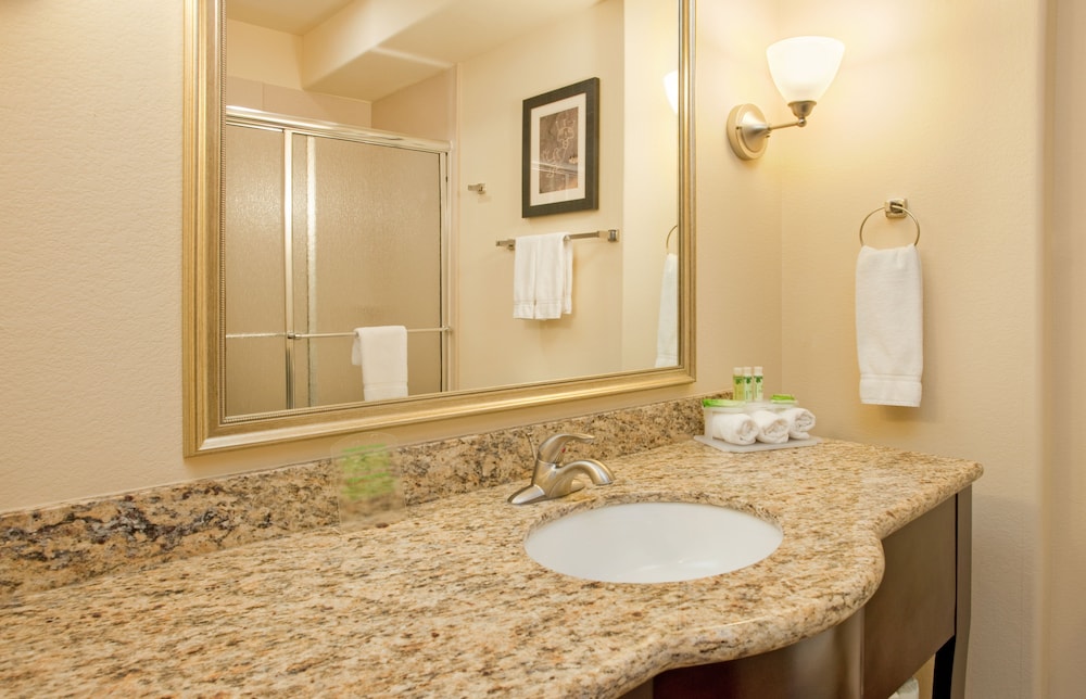 Holiday Inn Express Hotel And Suites Las Cruces North 14/76