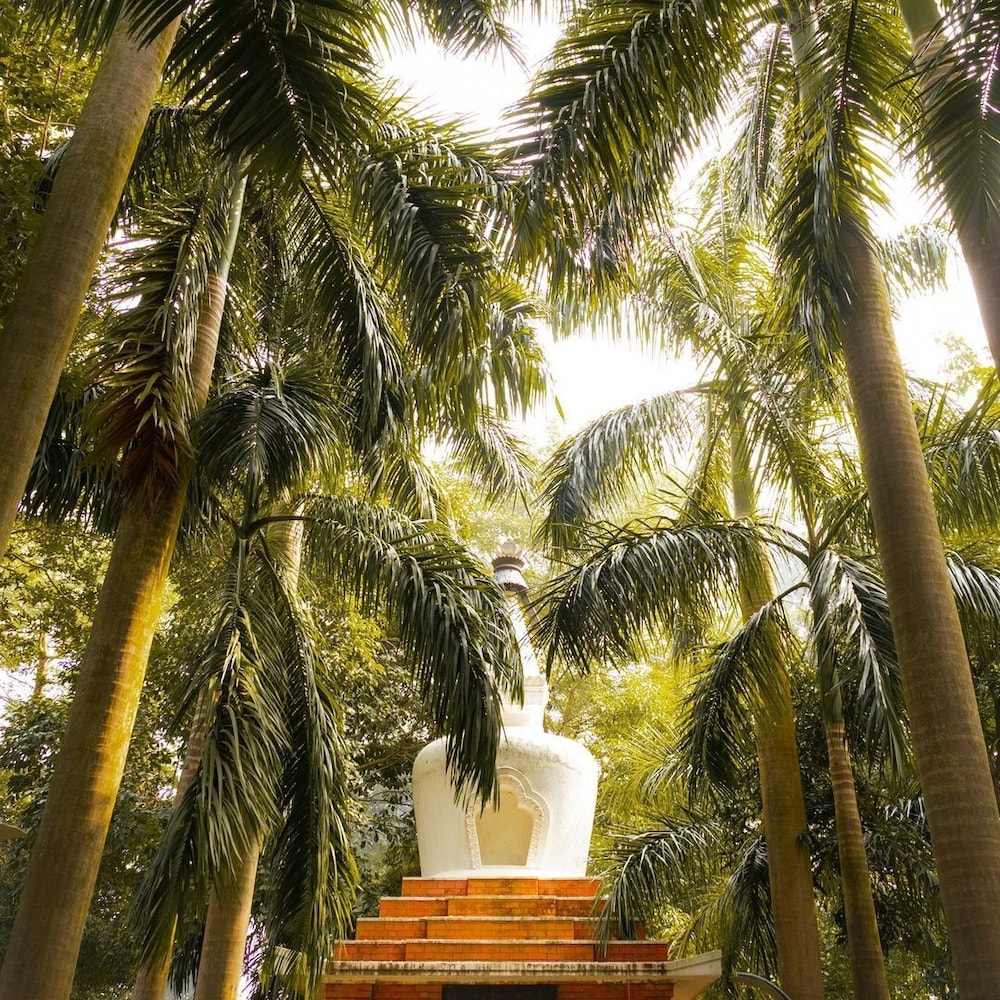 Buddha Maya By Kgh Group 56/64