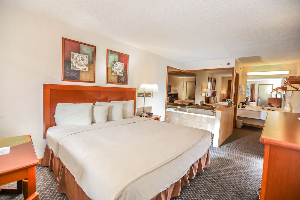 Super 8 by Wyndham Branson Shepherd of the Hills Exwy 27/60