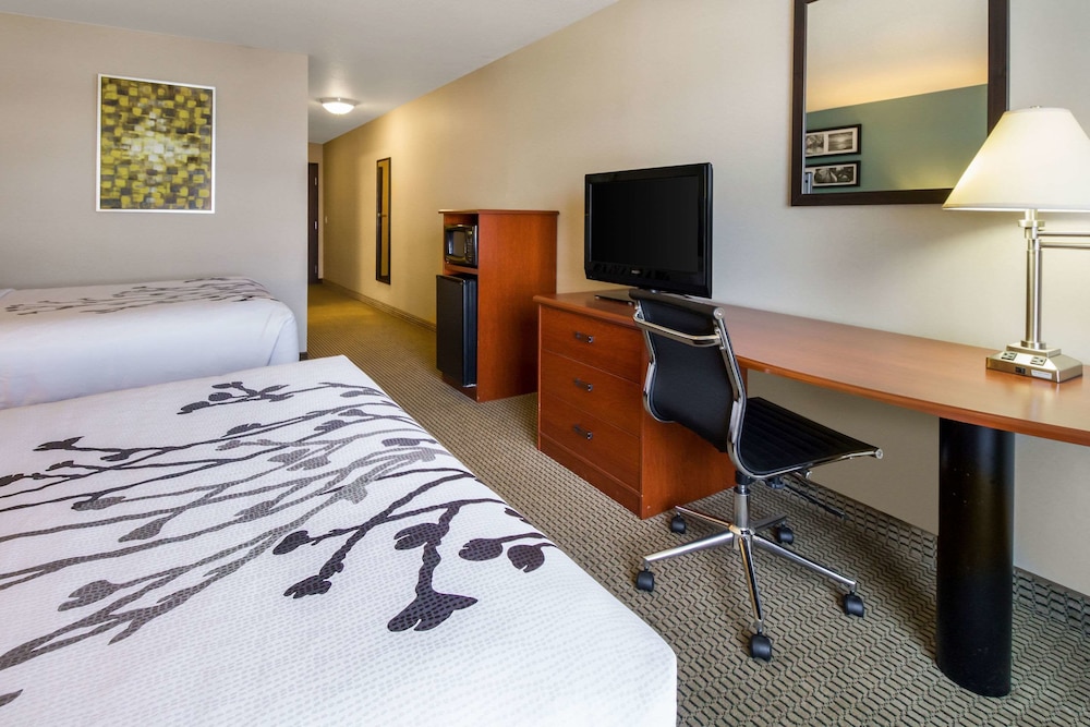 Sleep Inn & Suites Rapid City 25/35