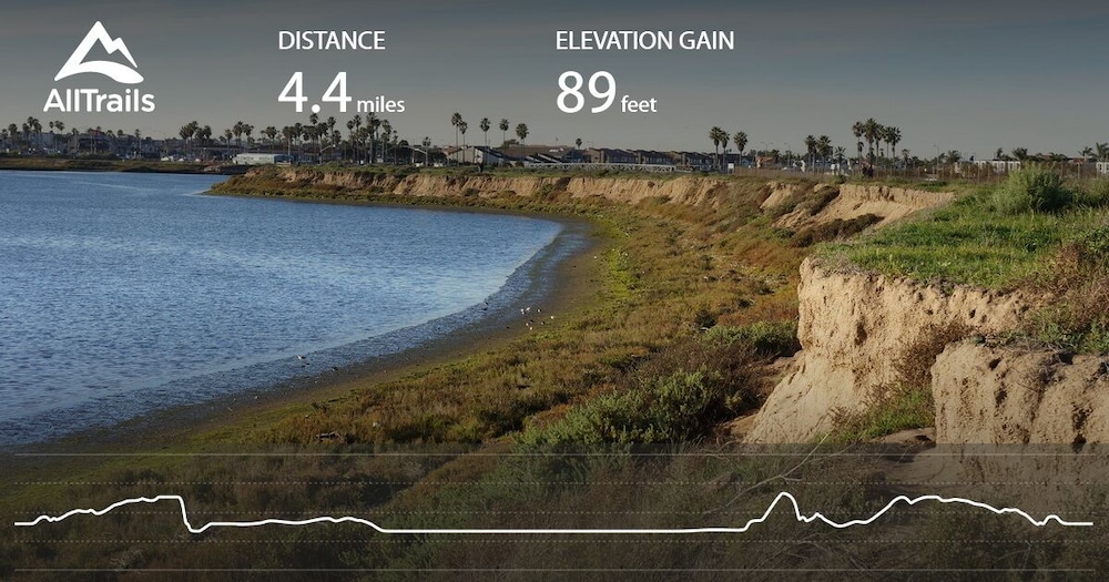 Oceanview Motel - Huntington Beach 23/50