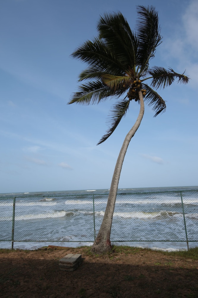 Ocean Of Life Ayurvedic Resort 34/44