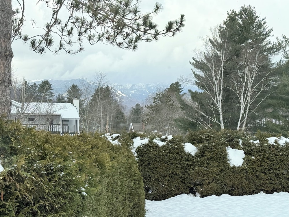 Stowe Motel Snowdrift 60/65