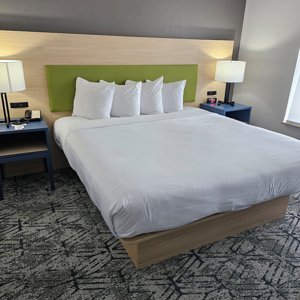 غرفة بسرير كينج، Country Inn Suites By Radisson Savannah I 95 North Ga 5/20
