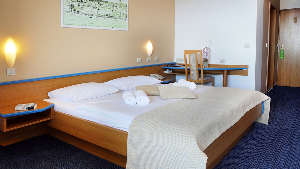Hotel Drazica - Hotel Resort Drazica 23/64
