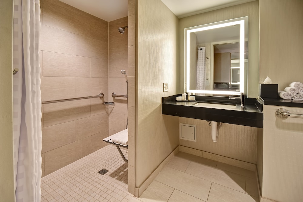Embassy Suites by Hilton Chicago Downtown Magnificent Mile 14/53