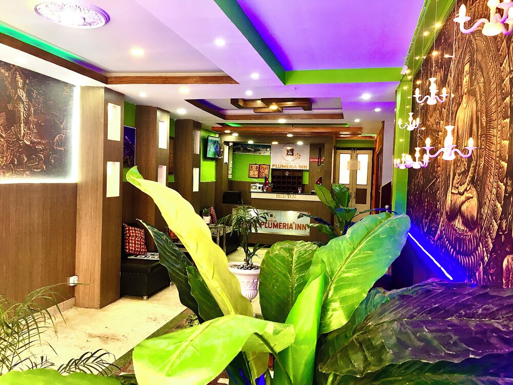 Hotel Plumeria Inn 11/39