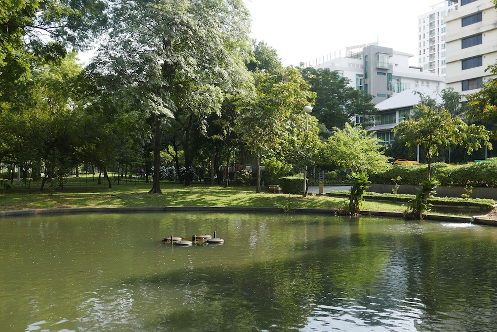surroundings