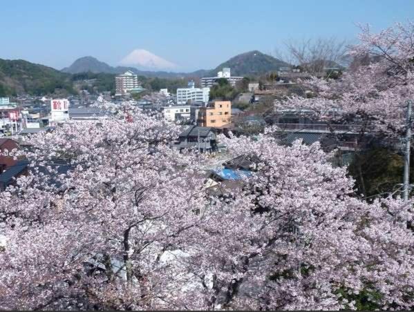 Kameya-Ean 42/50
