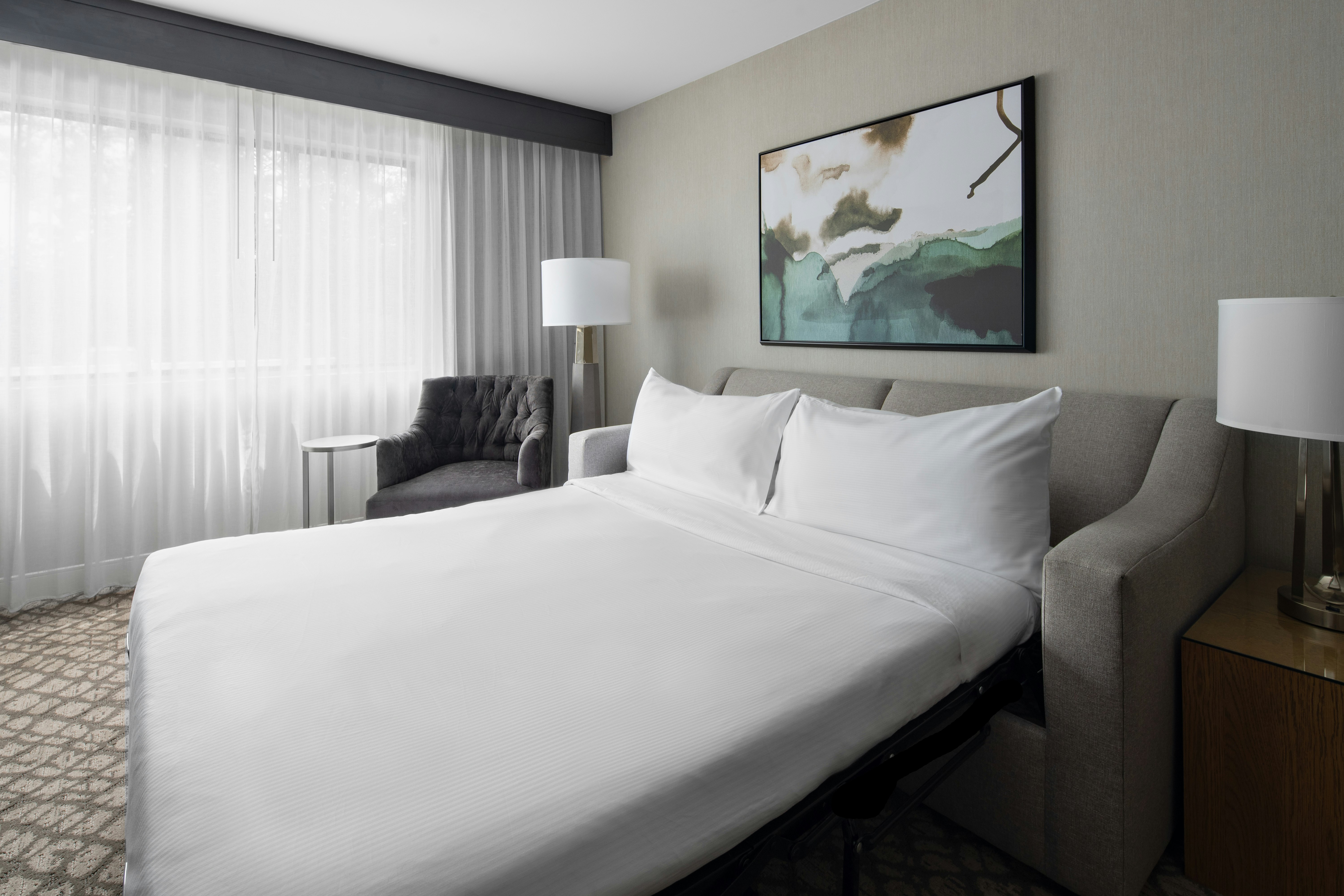 SUITE, KING BED, ACCESSIBLE