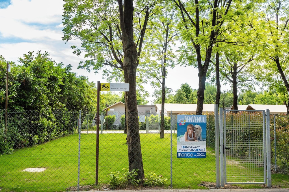 surroundings