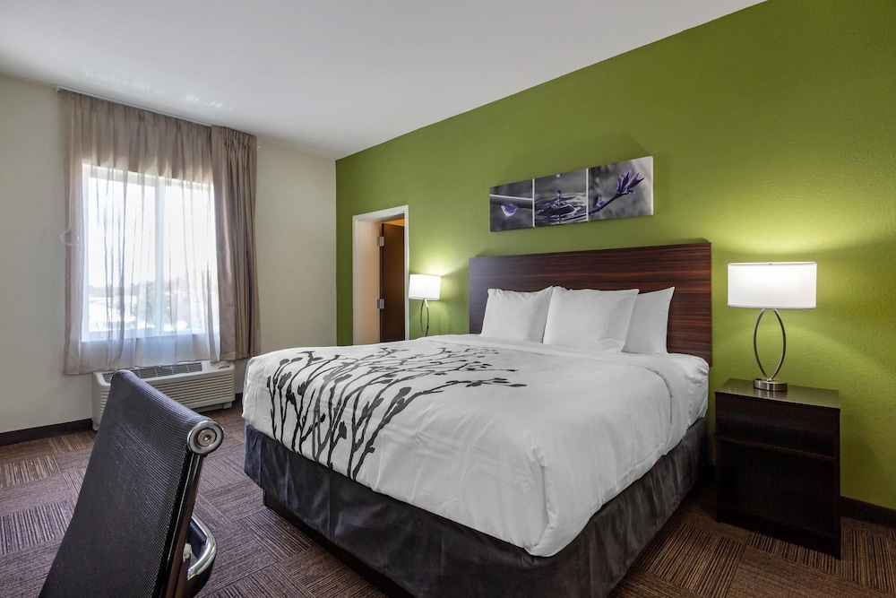 Sleep Inn & Suites Tampa South 15/42